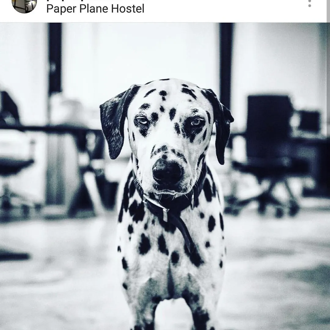 Paper Plane Hostel Kuala Lumpur 0*,  Malaysia